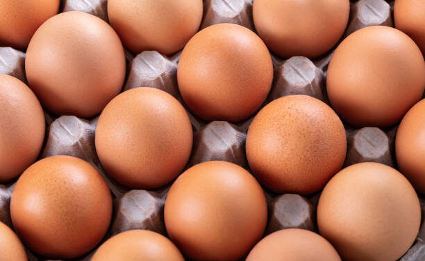 Fresh eggs in box, closeup on white background, nobody. Top View