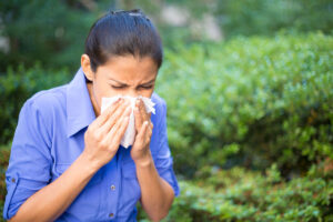 La rinitis se produce cuando el sistema inmunológico reacciona exageradamente a sustancias inofensivas, como el polen o el polvo.