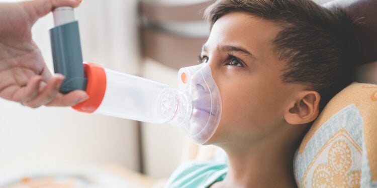 Patient, Human Face, Brazil, Asthmatic, Child