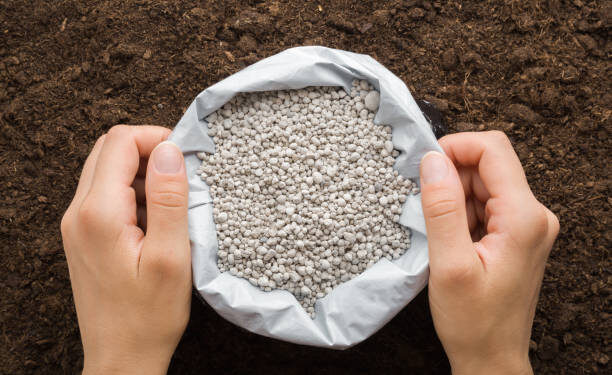 Young adult woman hands holding opened plastic bag with gray complex fertiliser granules on dark soil background. Closeup. Product for root feeding of vegetables, flowers and plants. Top down view.