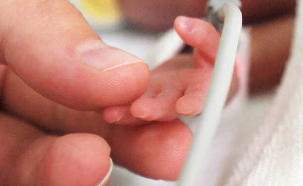 Mother is holding a tiny hand of her preterm baby that is in the NICU.