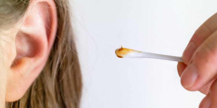 Dirty brown ear wax cotton swab stick held between fingers by young Caucasian woman close to ear isolated against white background no face or eyes 2020