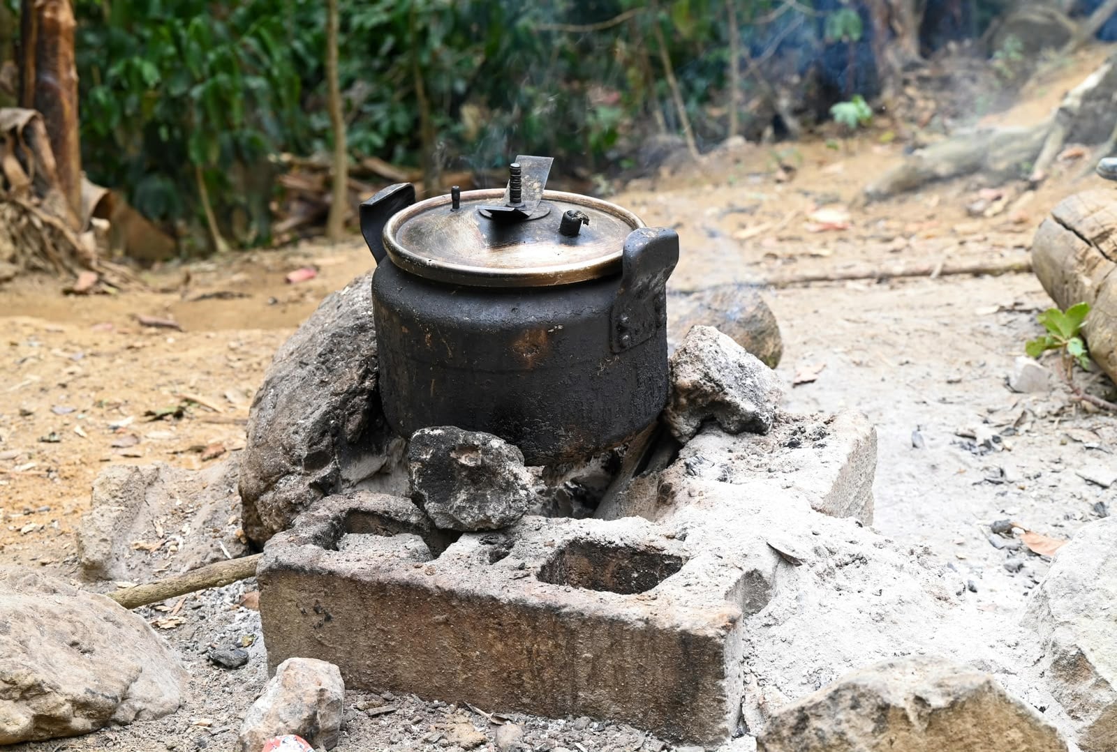 Implementarán programa para sustituir fogones de leña y carbón por estufas en zonas vulnerables